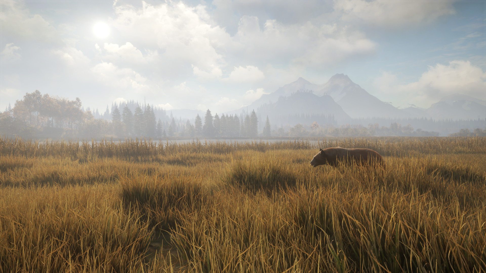 Купить theHunter: Call of the Wild дешево ключ Steam для PC