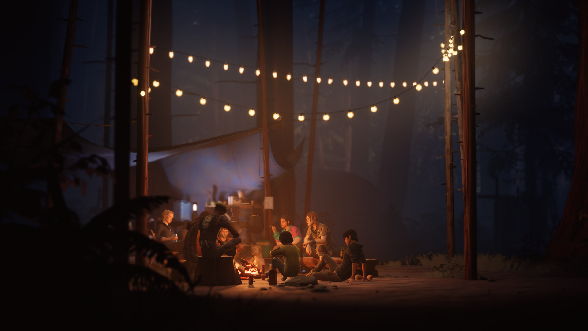 Купить Life is Strange 2 COMPLETE SEASON дешево ключ Steam для PC